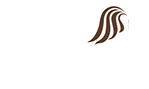 The Shea Center