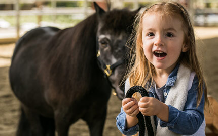 girl with therapeutic horse