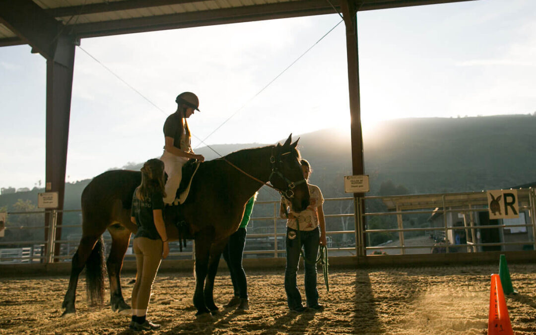 Volunteer of the Month: Alexa G.