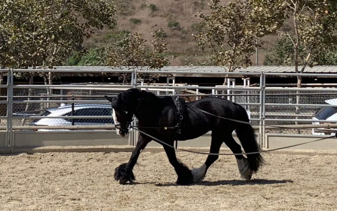 An LTAs Saturday Morning