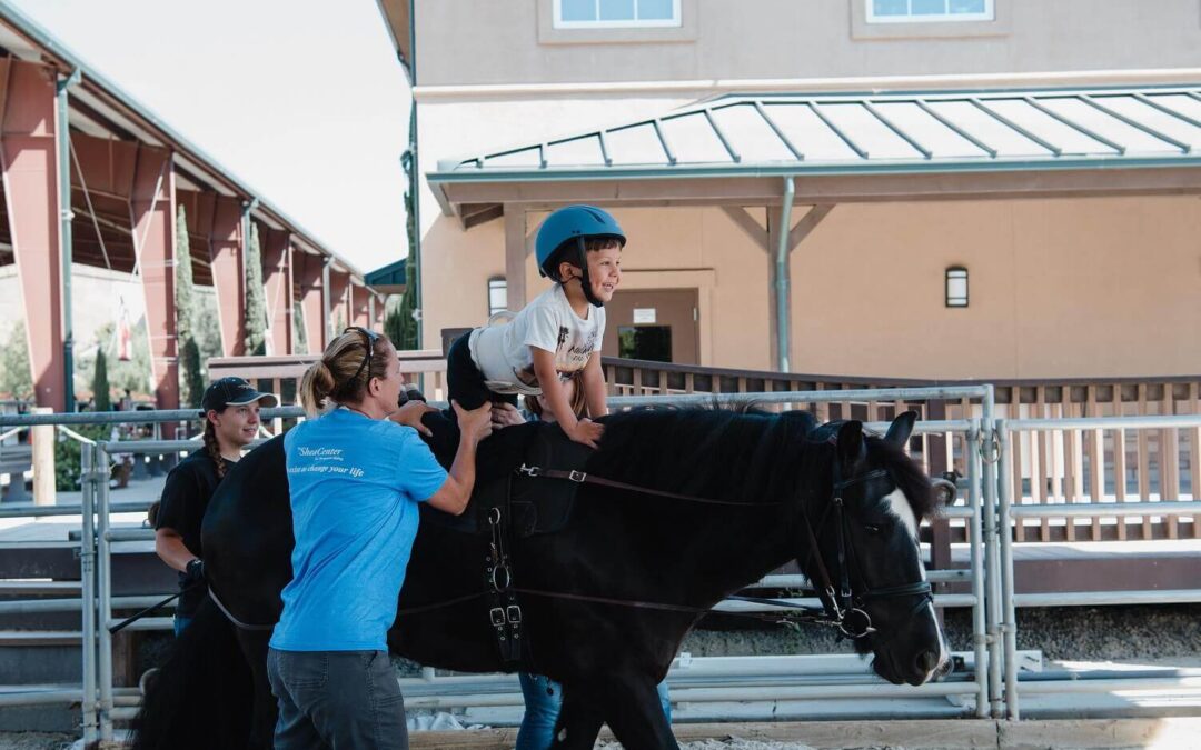 Where Science and Therapy Meet: Research at The Shea Center