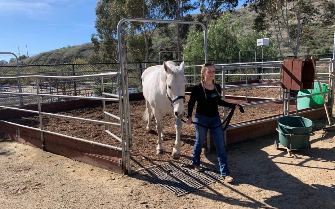 Meet Our Advanced Volunteers