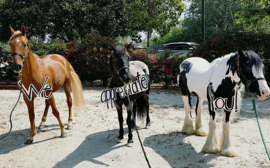 Volunteer of the Month: Taylor L.