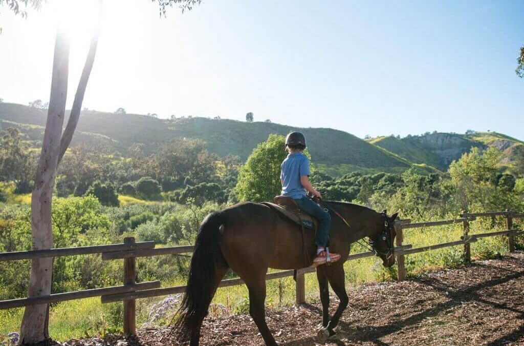 Trail Riding at The Shea Center