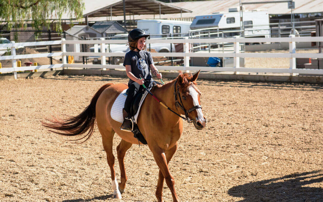 Considerations for Choosing a Horse and Tack