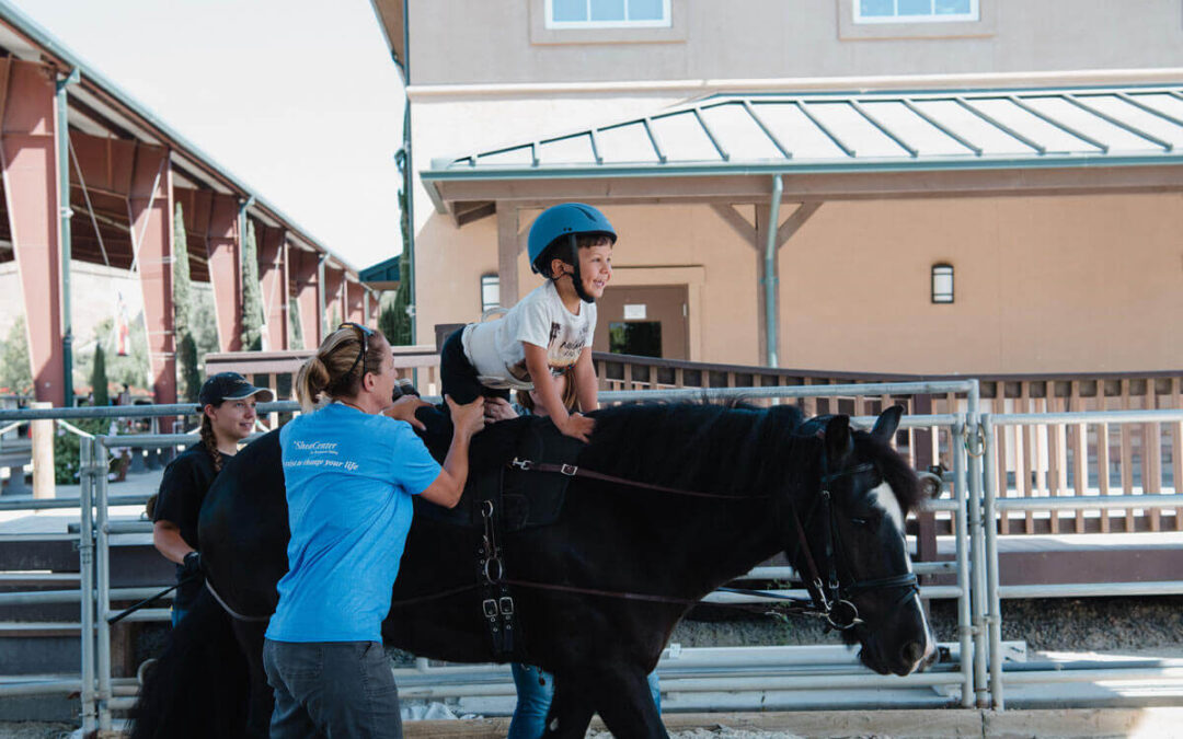 Client Spotlight: Max D.