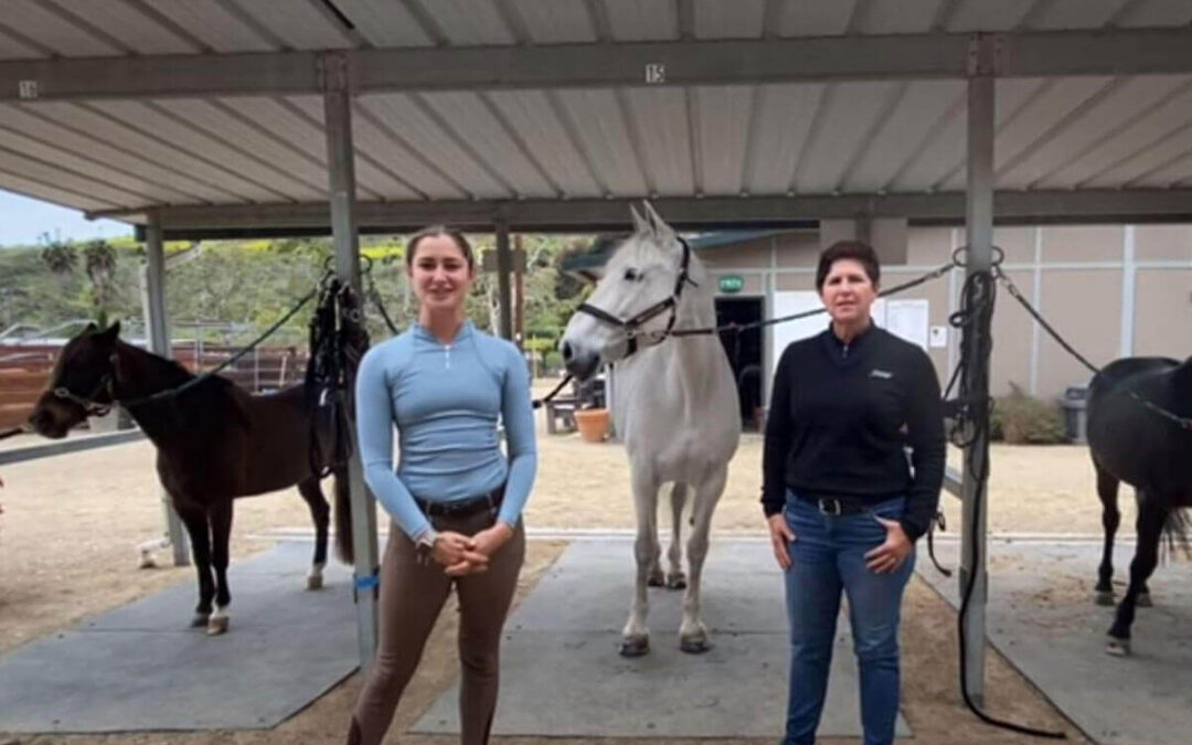 Matching Horse and Rider