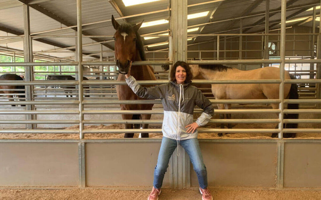 At Home Riding Skills: Wall Posting