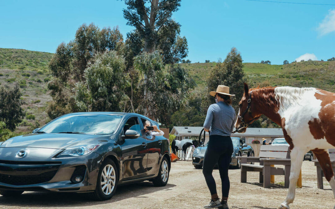 Celebrate Volunteers – Drive-Thru Style!