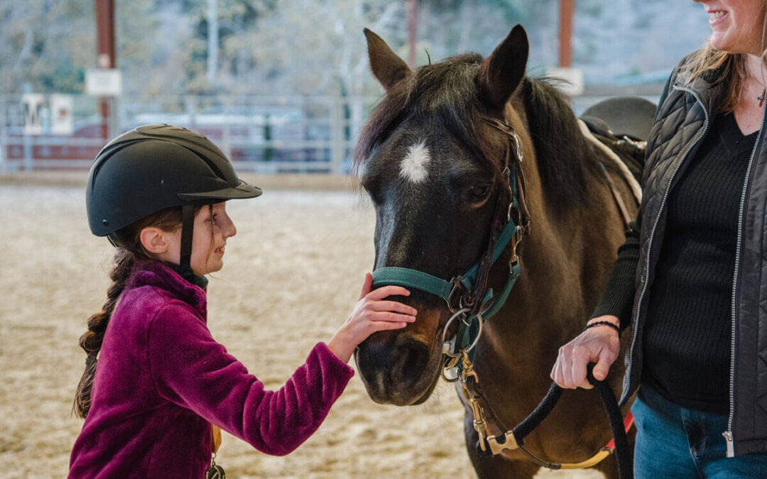 Accepting a New Horse in the Barn