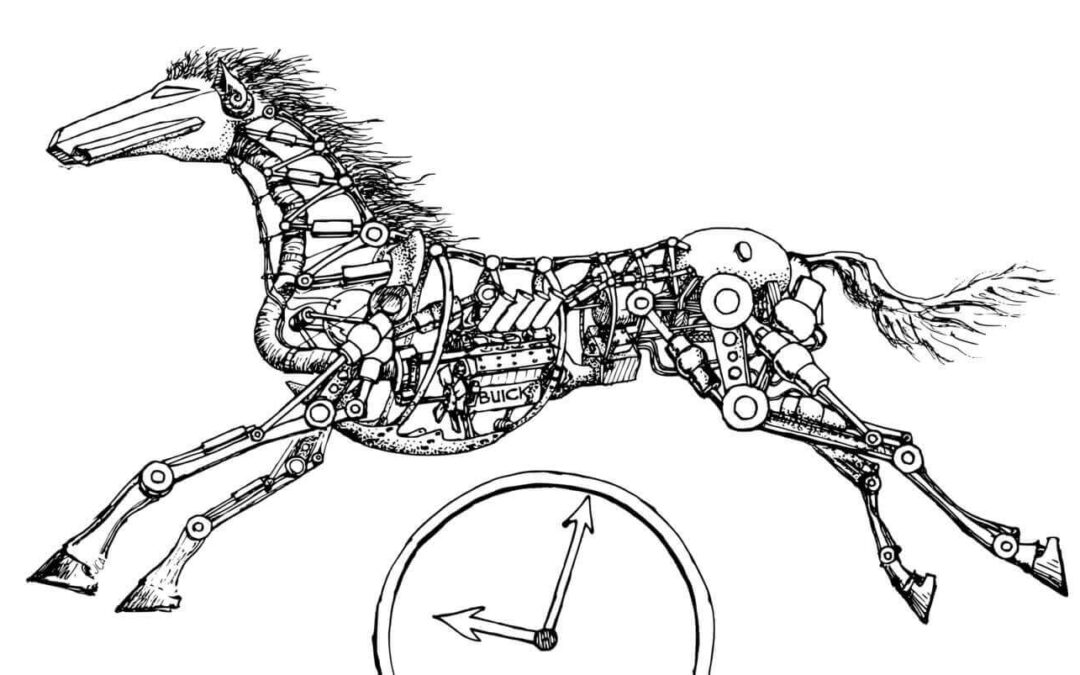Robo or Real? Why Living, Breathing Horses Make a Difference in Hippotherapy