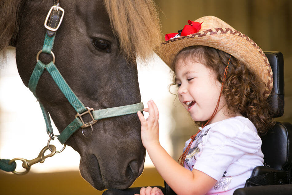 Meet Boog, The Shea Center’s Amish Pony