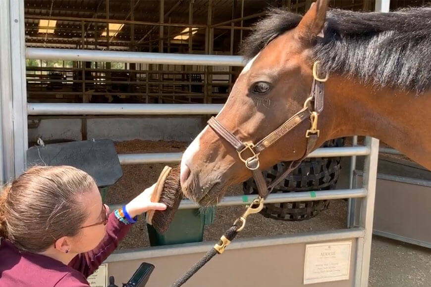 Client Spotlight: Melissa P.