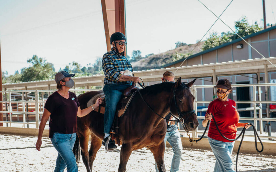 Dane and His Pal Champ