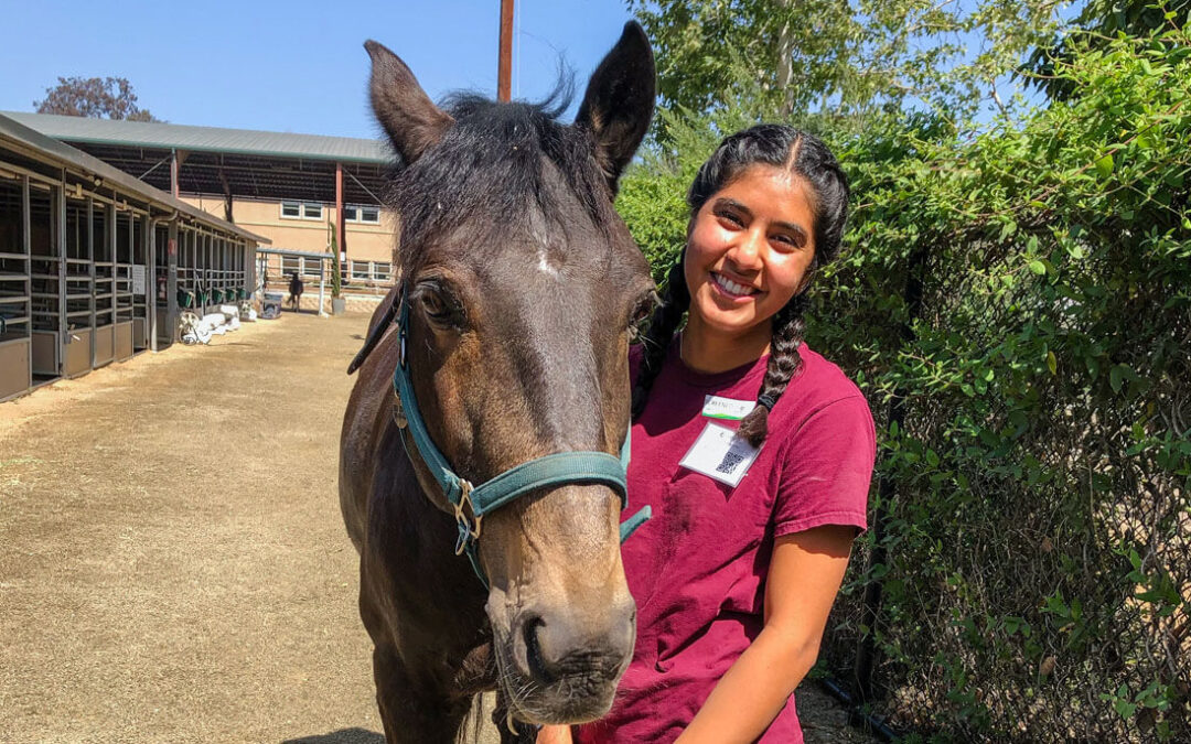 Volunteer of the Month: Aleyna K.