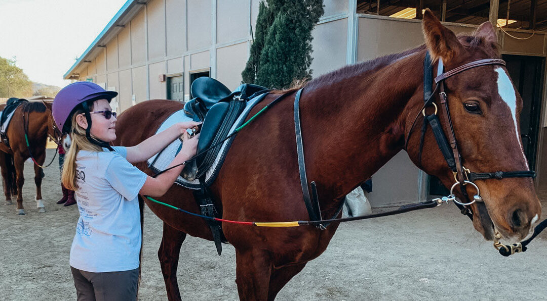 Client Spotlight: Eleni W.