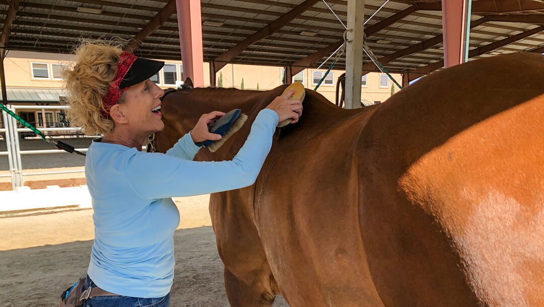 Volunteer of the Month: Sandra J.