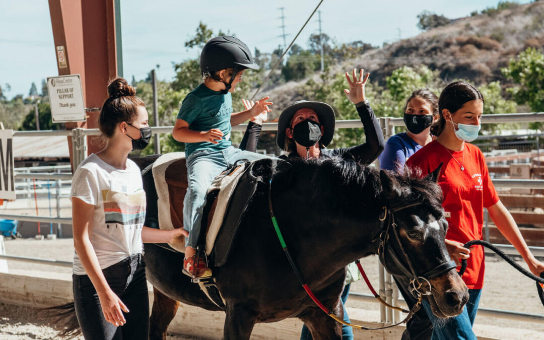 Training Future Therapy Professionals