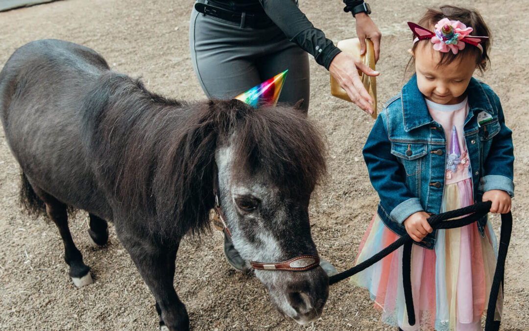 Client Spotlight: Isabella C.