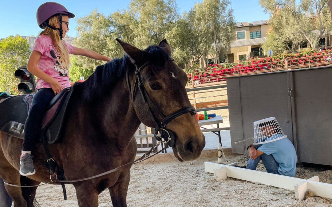 Hide-and-Seek at Shea