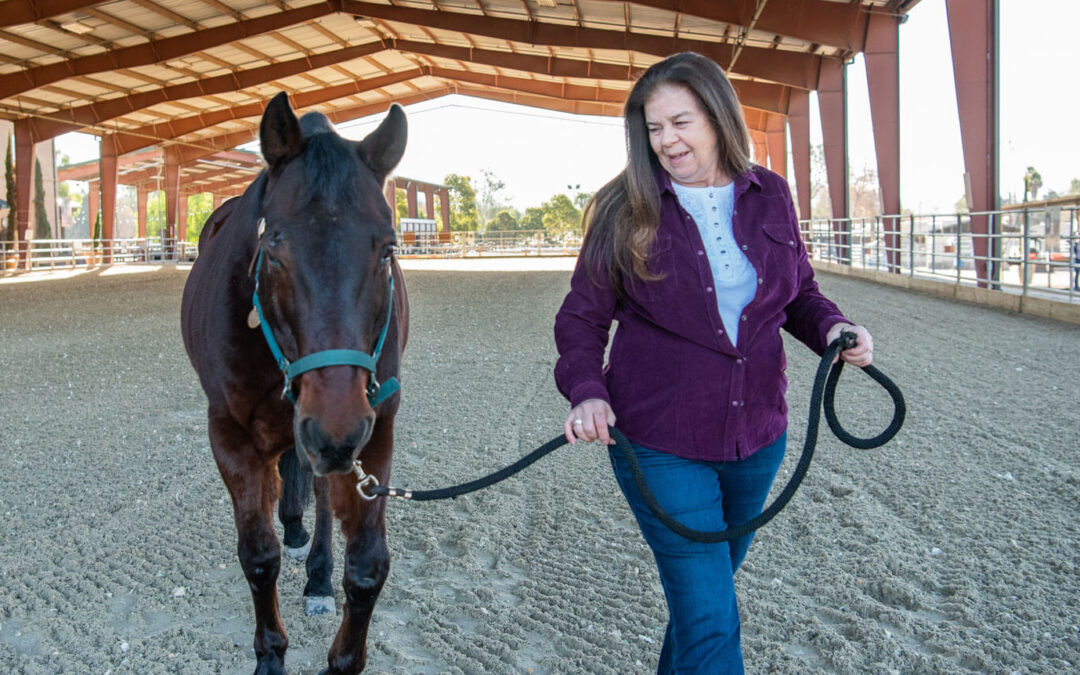 Volunteer of the Month: Linda O.