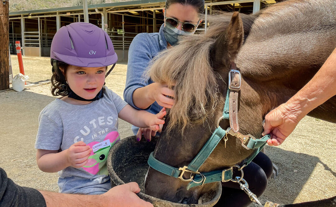 Client Spotlight: Olive R.