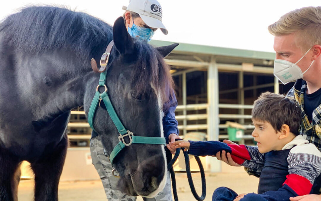 Client Spotlight: Alessandro P.