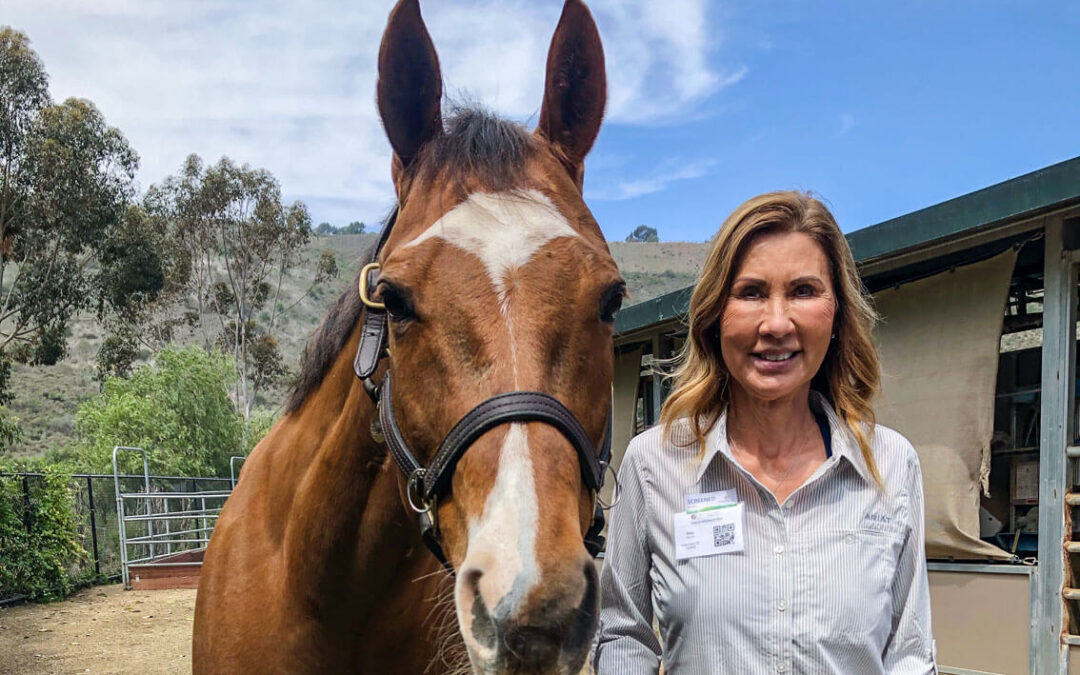 Volunteer of the Month: Rita Q.