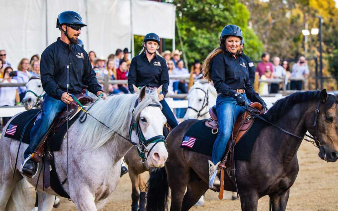 Stars and Stripes Military Program