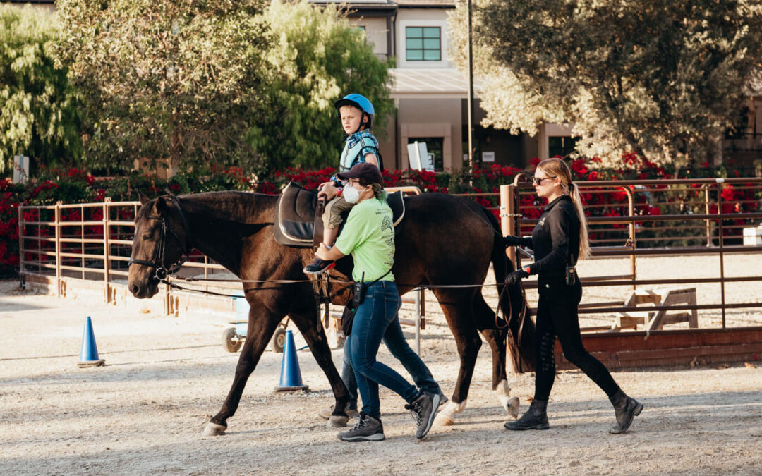 Client Spotlight: Charlie and Nicky P.