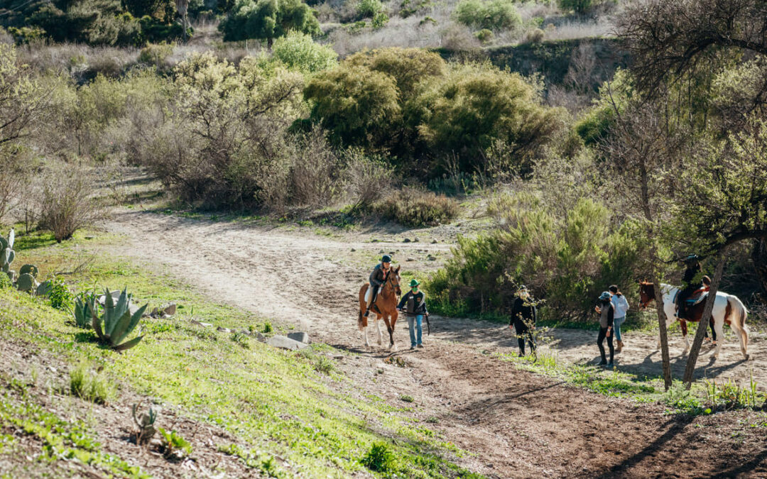 Mindfulness Practice:  A Guided Trail Ride