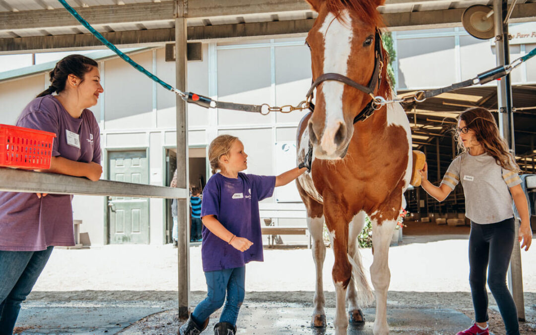Summer Horse Camp at The Shea Center