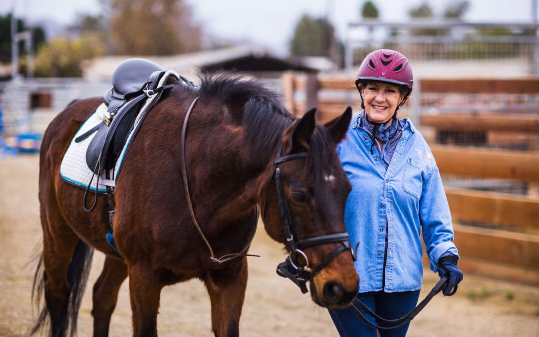 Caring For Our Horses