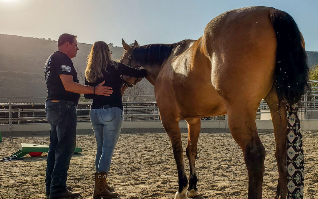 Client Spotlight: Kyle and Kim