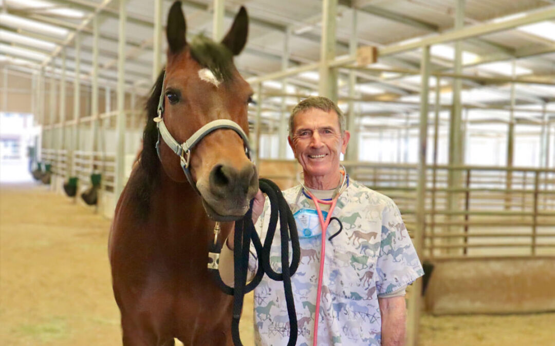 Equine Dentistry at Shea