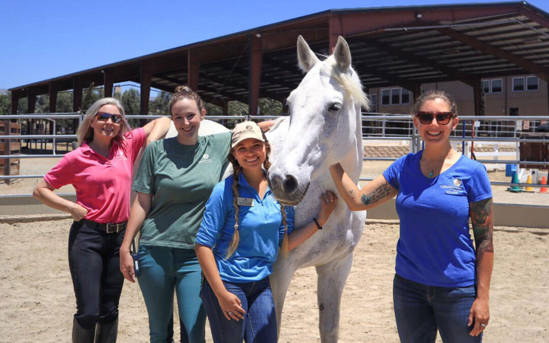 New PATH CTRI Certifications