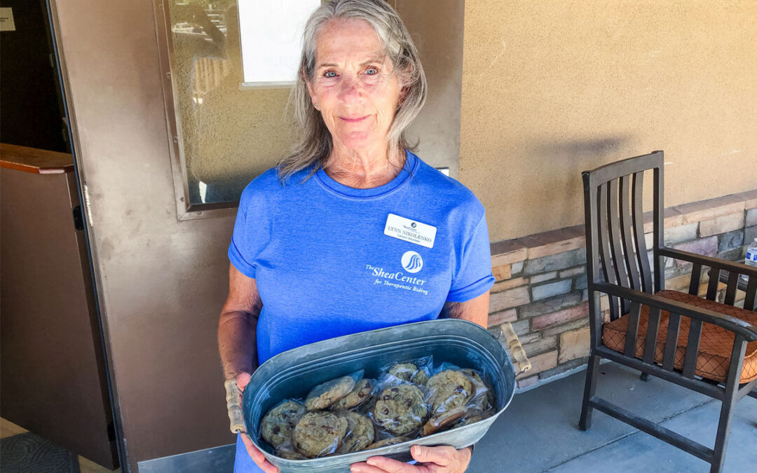 Volunteer of the Month: Lynn