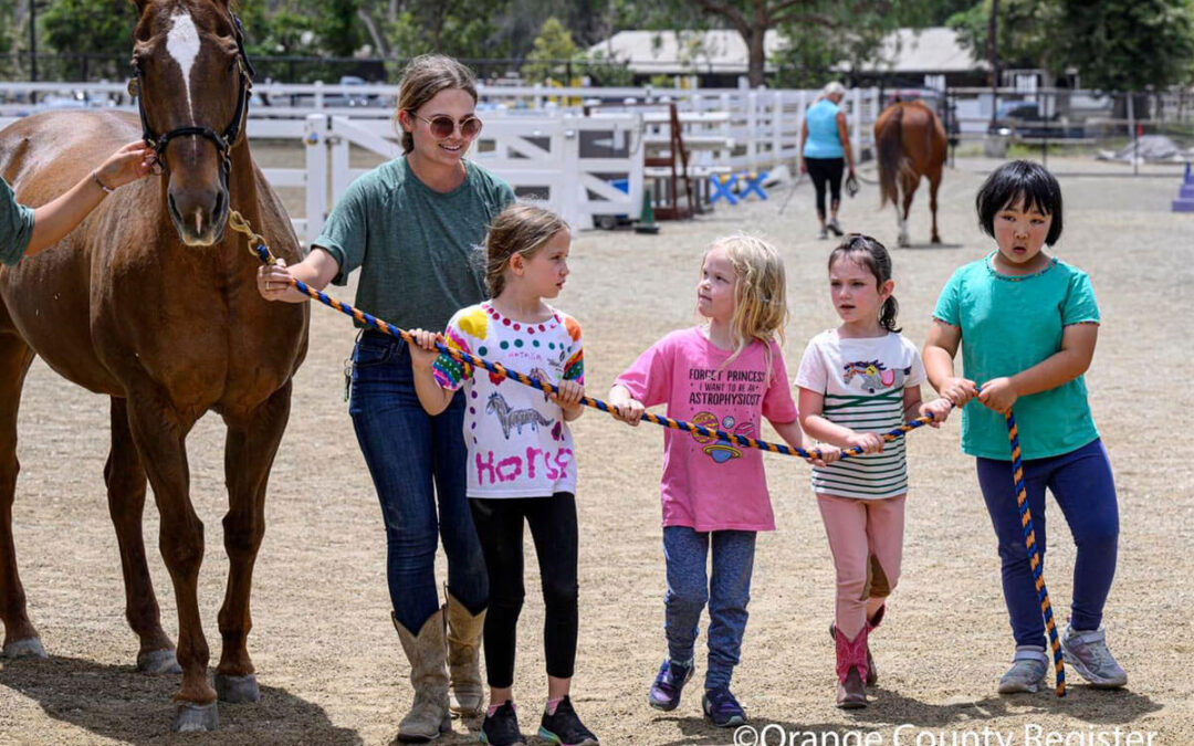 Shea Horse Camp in OC Register