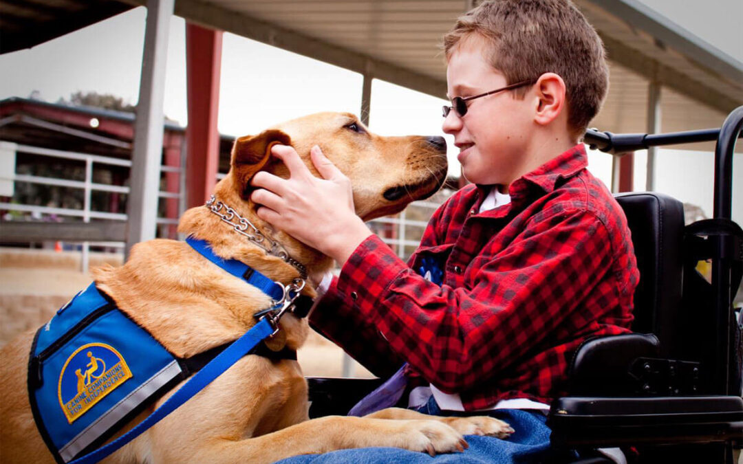 Emerson Tribute: CCI Facility Dog