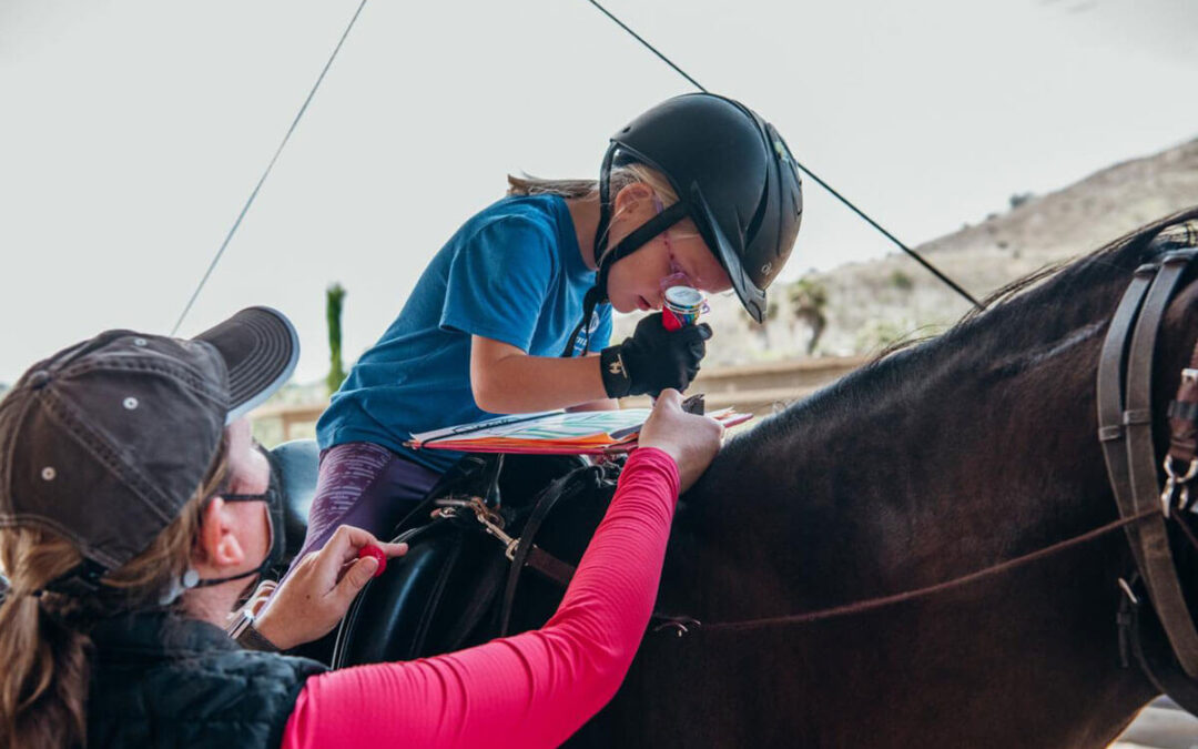 Occupational Therapy at The Shea Center