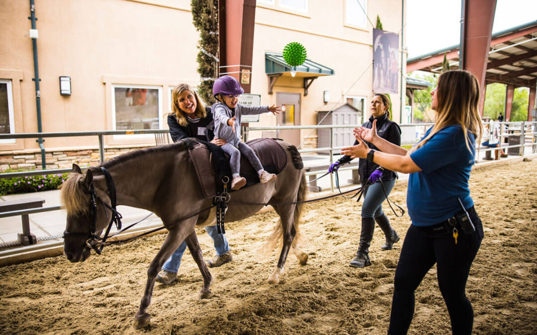 Physical Therapy at The Shea Center