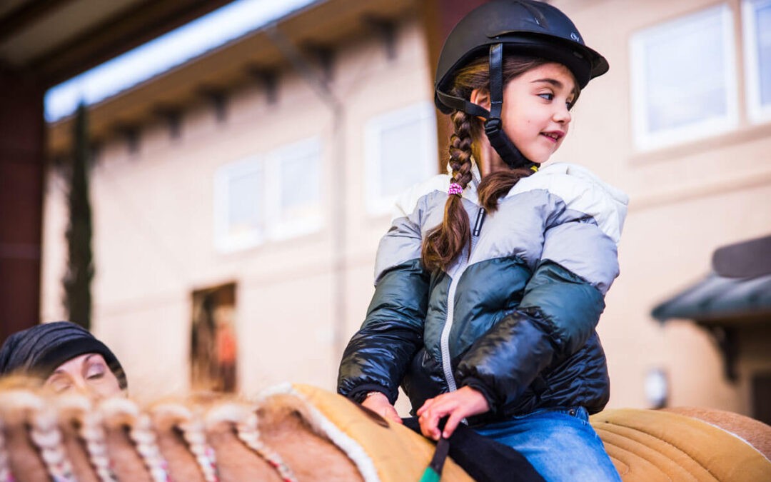 Client Spotlight: Stella