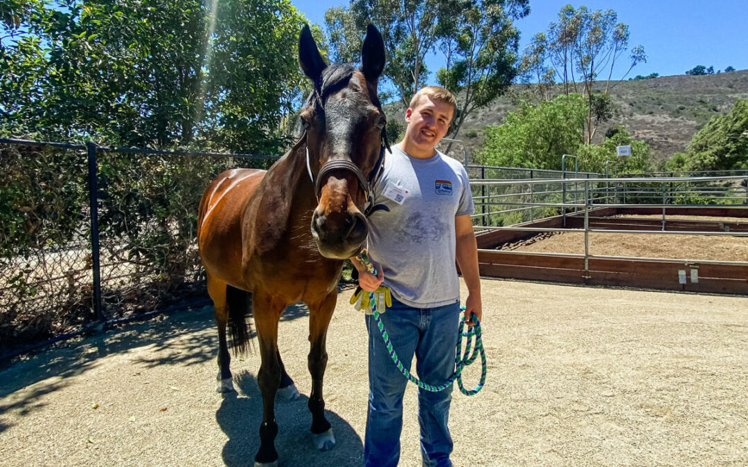 Volunteer of the Month: Liam