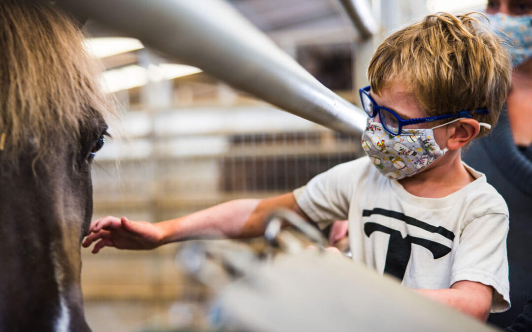 Client Spotlight: Tank