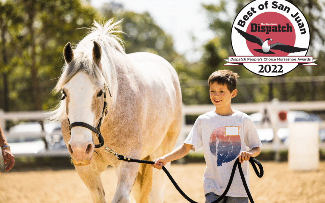 Best of San Juan 2022: Please Vote