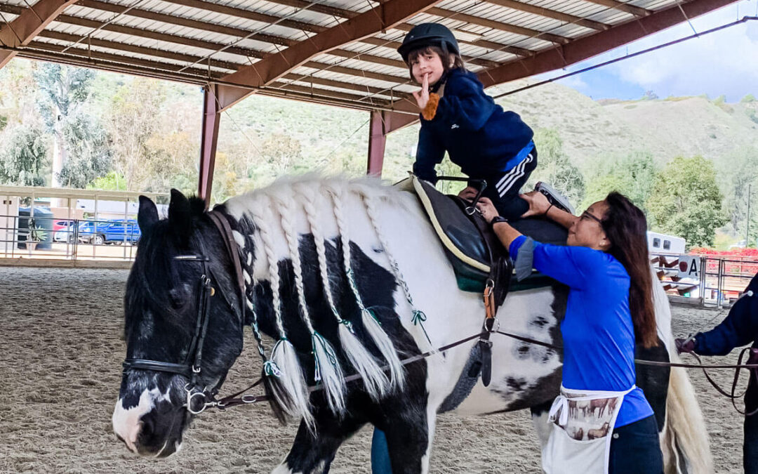 Client Spotlight: Everett