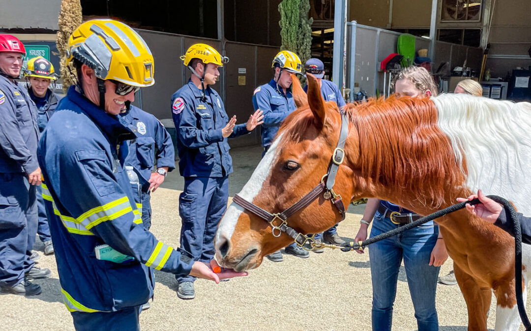 Stand With Shea Spotlight: Military and First Responders