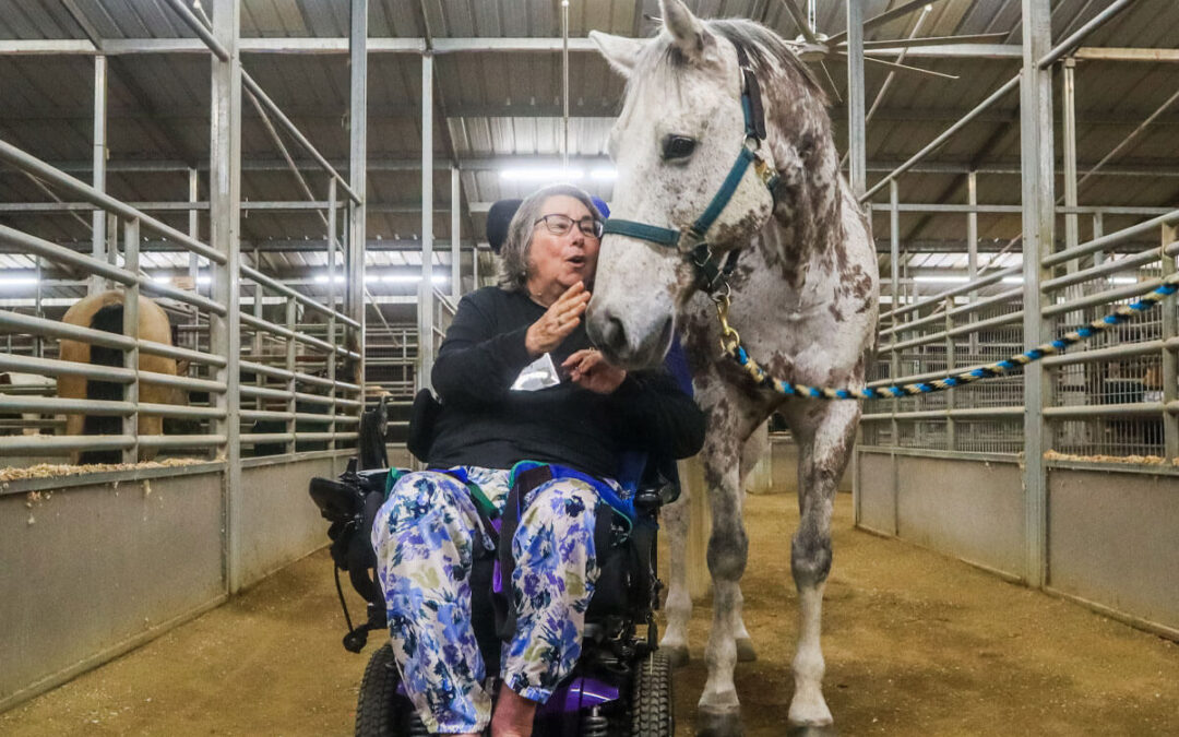 Thanking 2022 Horse Sponsors