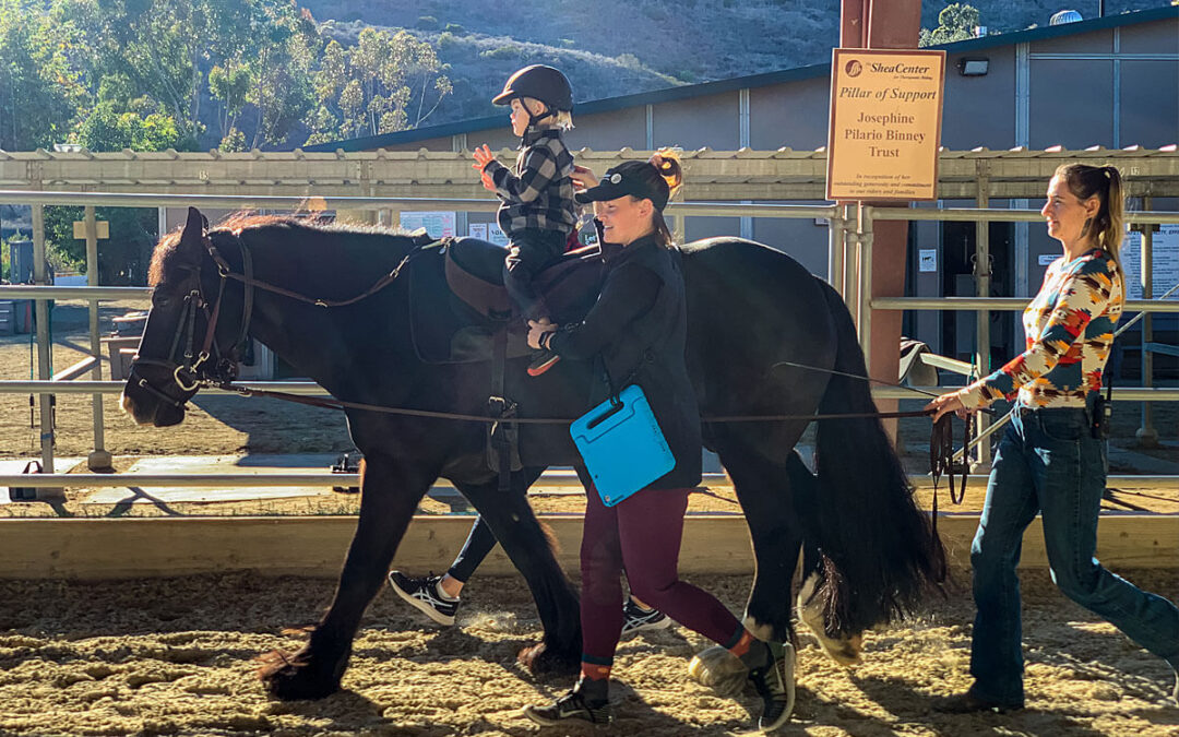 Stand With Shea Spotlight: Therapy Services