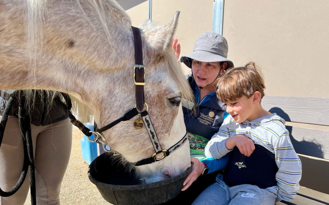 Occupational Therapy Client Spotlight: Leo